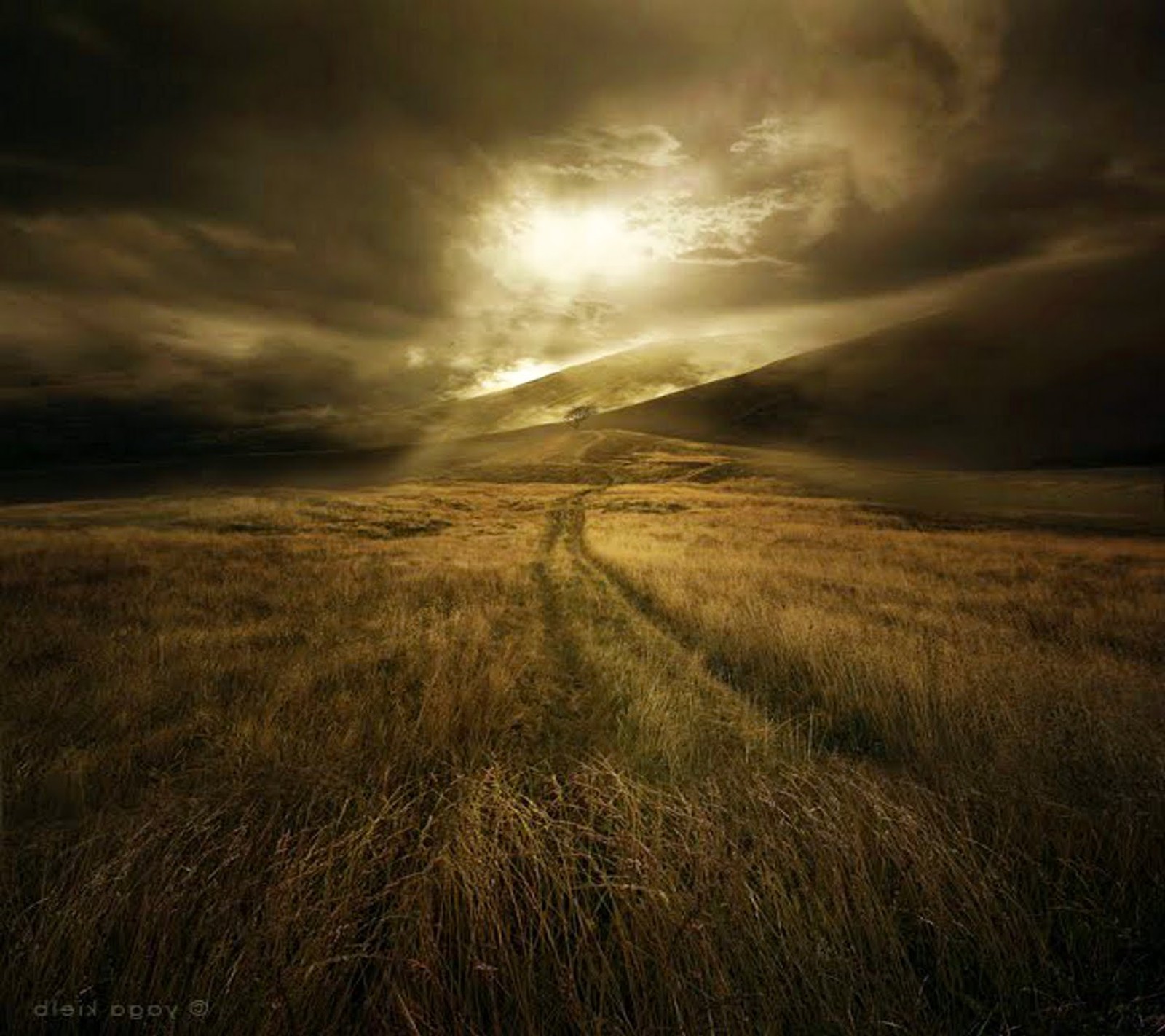 Un champ avec le soleil qui brille à travers les nuages et un chemin au milieu (nuages, champ, herbe, collines, chemin)