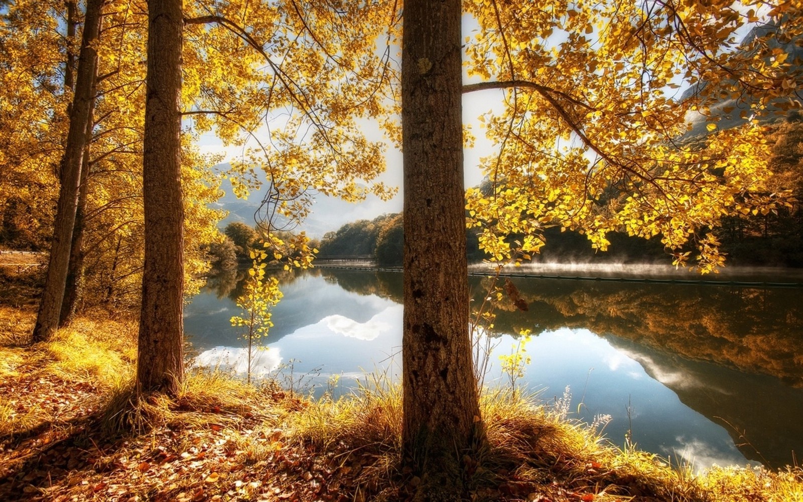 Une vue d'un lac entouré d'arbres aux feuilles jaunes. (couleur des feuilles dautomne, arbre, automne, nature, réflexion)