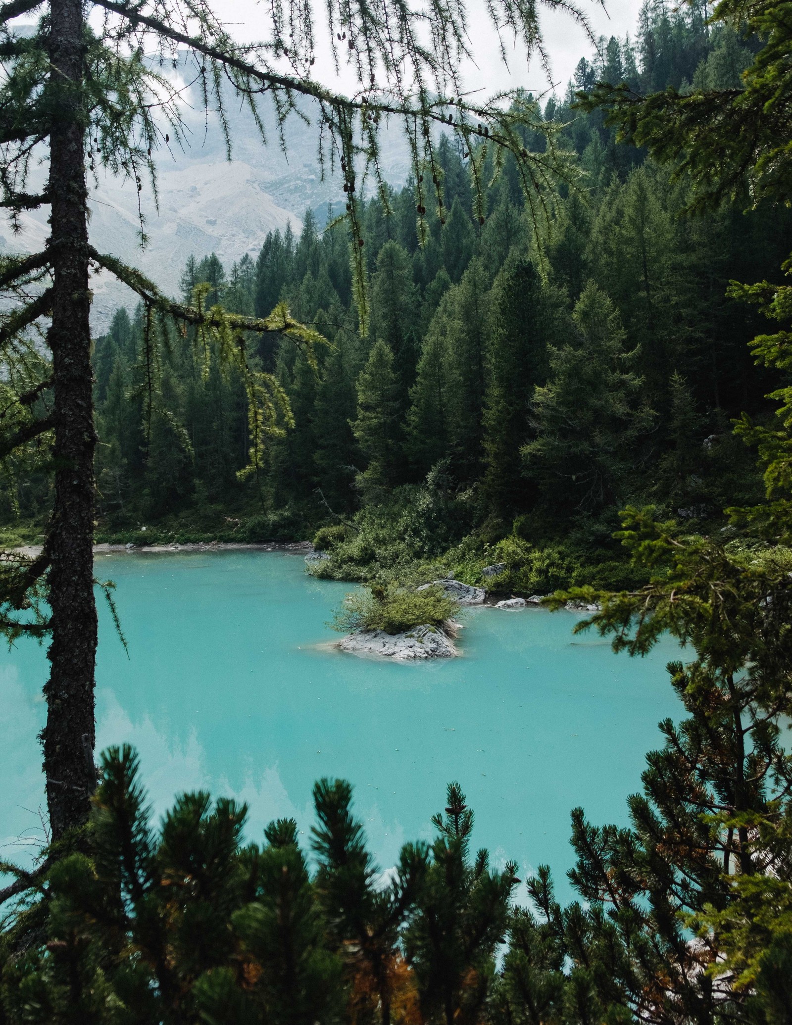 There is a lake with a small island in the middle of it (body of water, lake, spruce fir forests, old growth forest, natural environment)