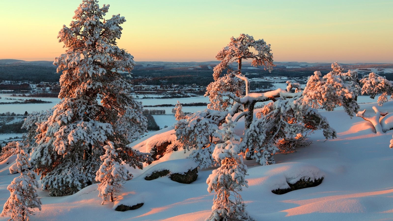 Скачать обои лапландия, lapland, зима, дерево, снег