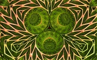 Symmetrical Leaf Motif: A Vibrant Display of Botanical Patterns