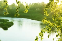 Sunlit Reflections: A Serene Watercourse Surrounded by Lush Greenery