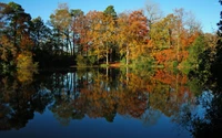 Autumn Reflections: Vibrant Trees Mirrored in a Serene Pond