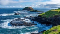 Praia rochosa cênica com ondas e colinas verdes exuberantes