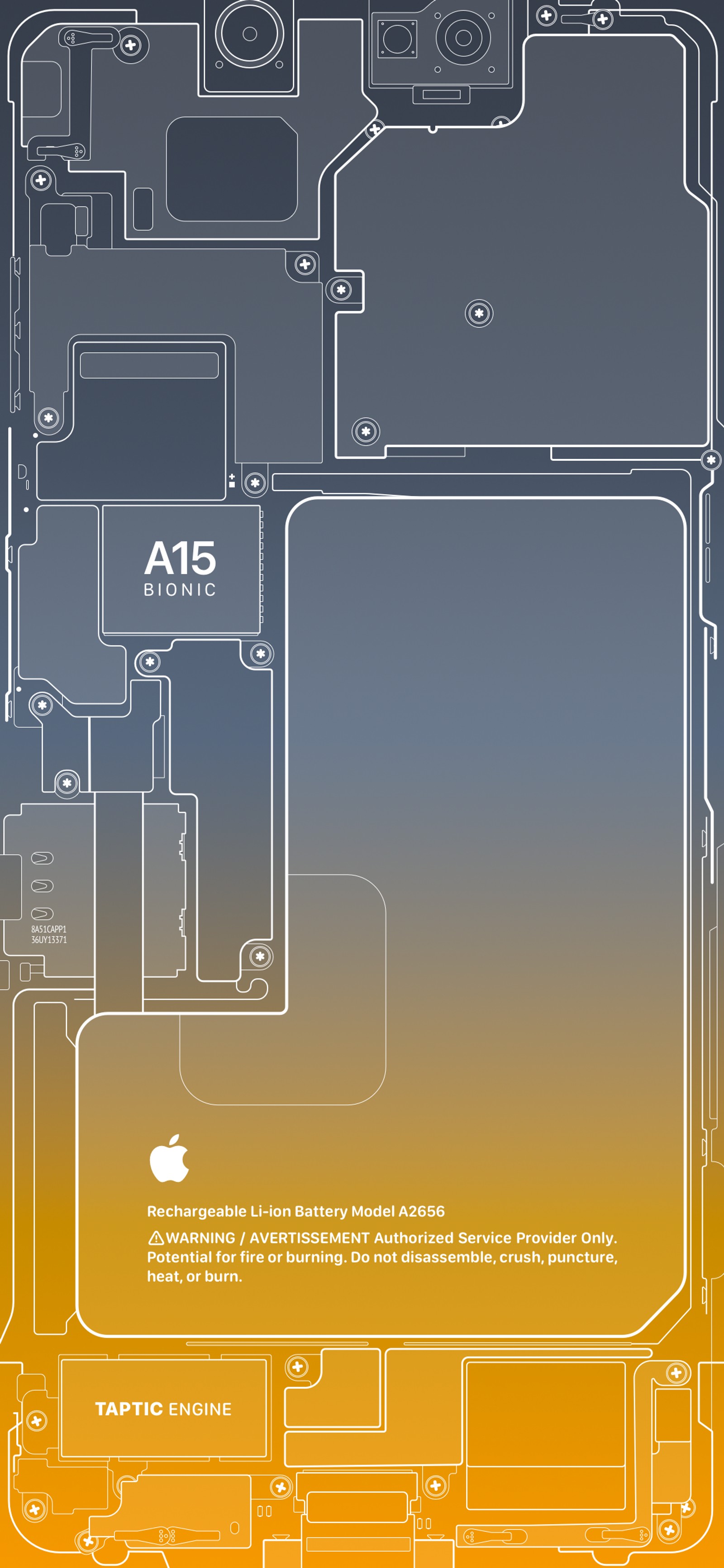 Close-up de um diagrama de um telefone com uma câmera anexada (maçãs, maçã, iphone, linha, paralelas)