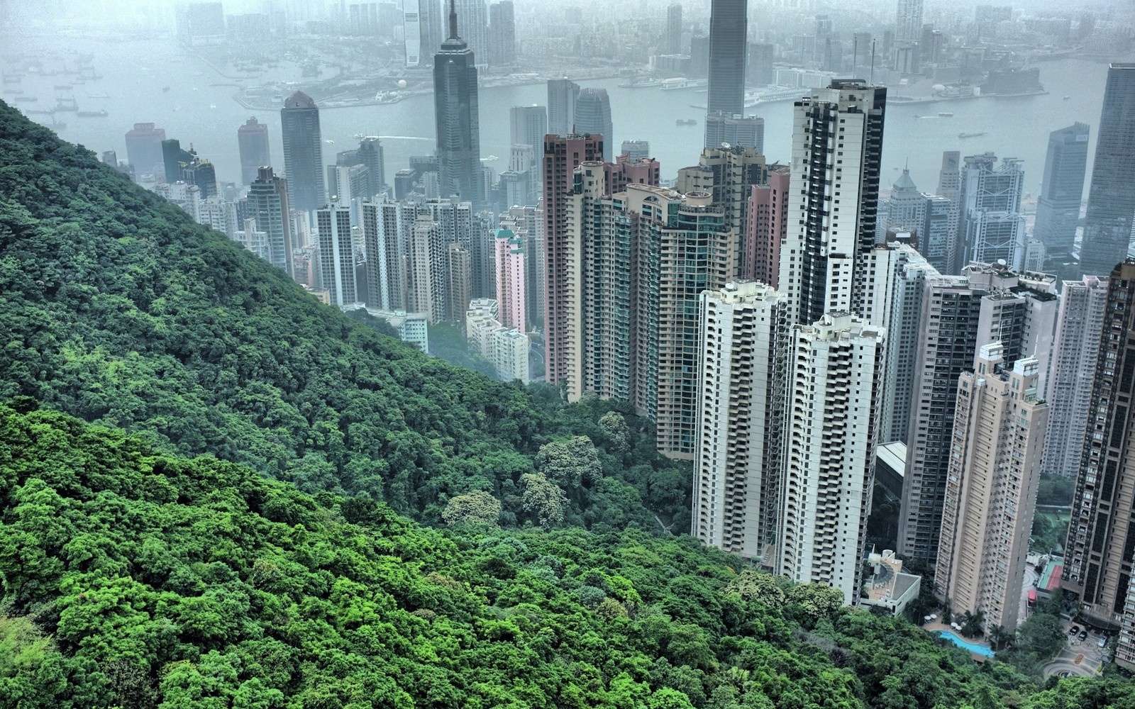 Uma vista de altos edifícios em uma cidade com um rio ao fundo (hong kong, metrópole, área urbana, arranha céus, bloco de torre)