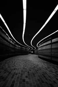 Monochrome Curves: A Subterranean Dance of Light and Shadow