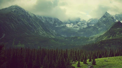 Valle montañoso majestuoso rodeado de bosques exuberantes y picos cubiertos de nieve