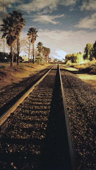 Voies de train nocturnes entourées de palmiers