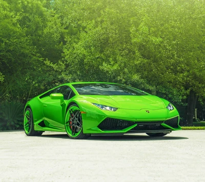 Lamborghini Huracan : Supercar vert vif au milieu d'un environnement luxuriant