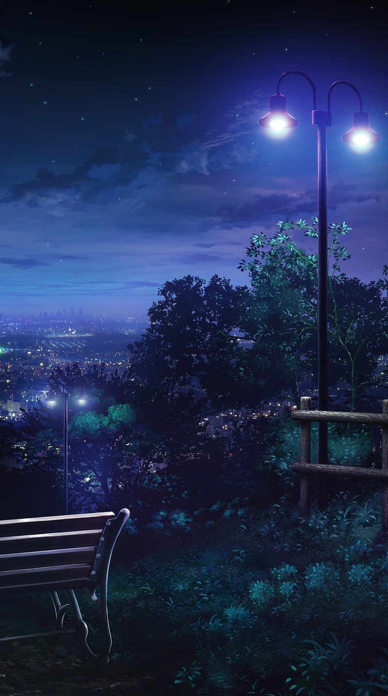 Nighttime scene of a bench and street lights overlooking a city (bench, blue, chill, light, night)