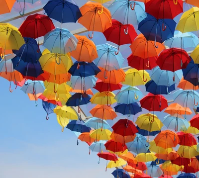 abej, beograd, umbrellas