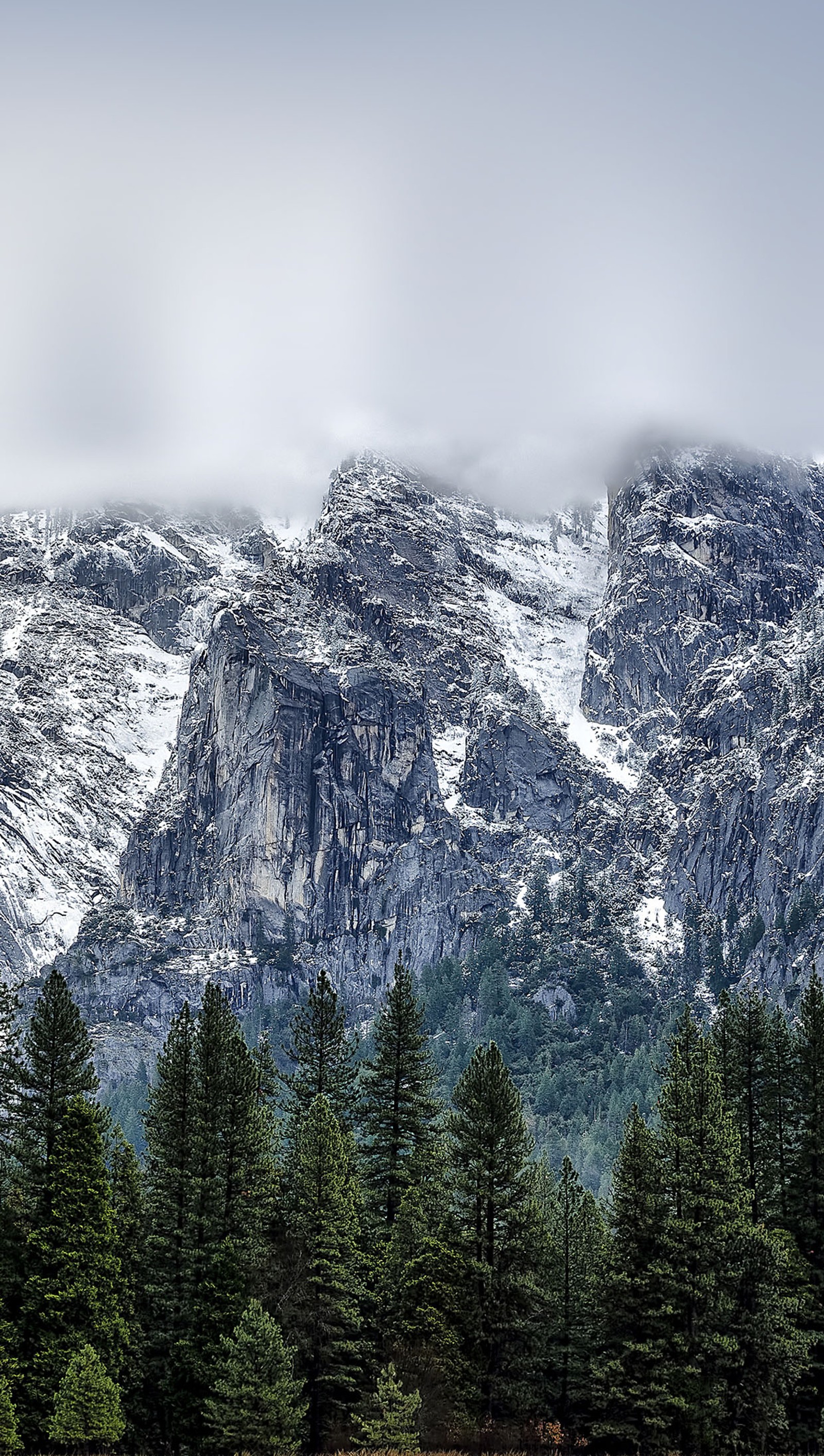 Descargar fondo de pantalla bosque, montaña