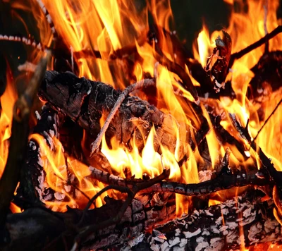 Fiery Blaze Consuming Wooden Logs