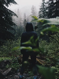 man, lost, forest wallpaper