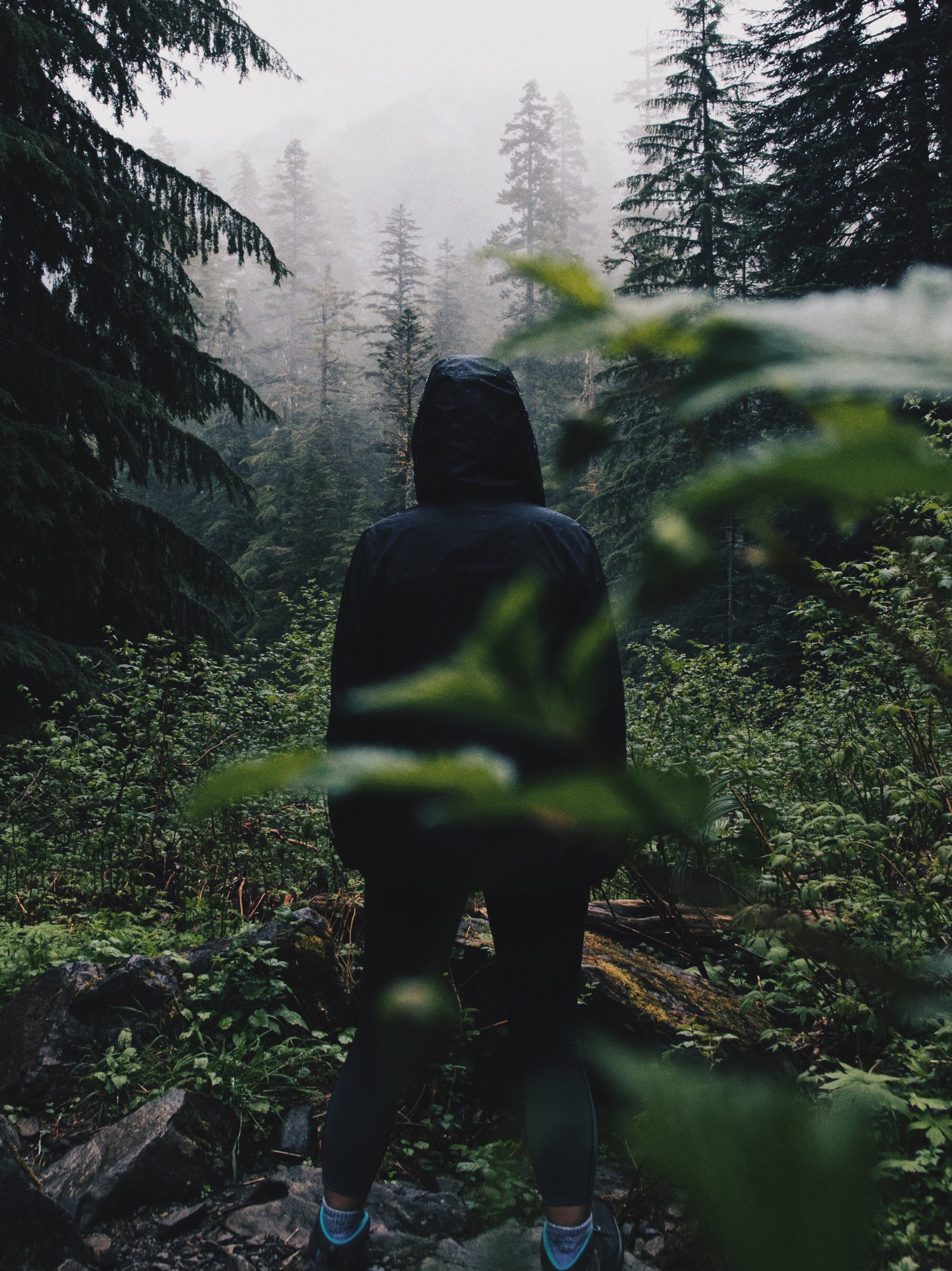 man, lost, forest Download Wallpaper