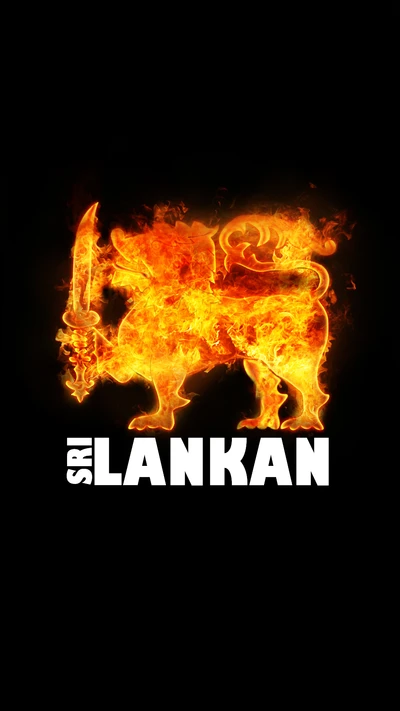 lanka, lankan, león, amor, inhala