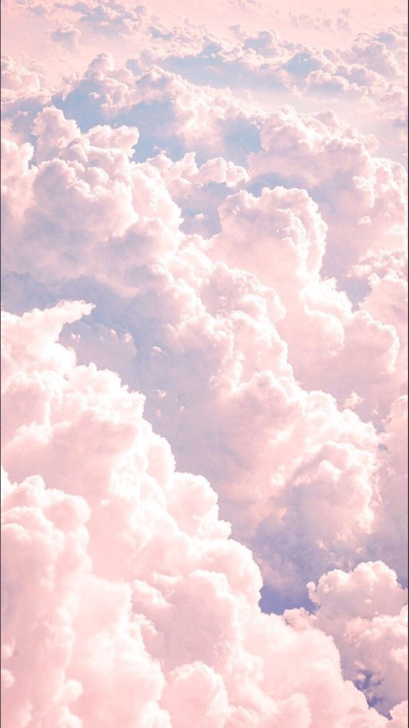 Une image d'un avion volant à travers les nuages (nuage, fleurs, amour, rose, avion)