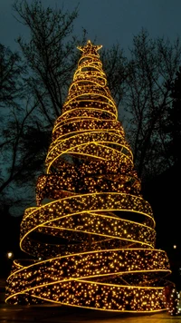 Illuminated Christmas Tree Wrapped in Glowing Lights and a Star at the Top