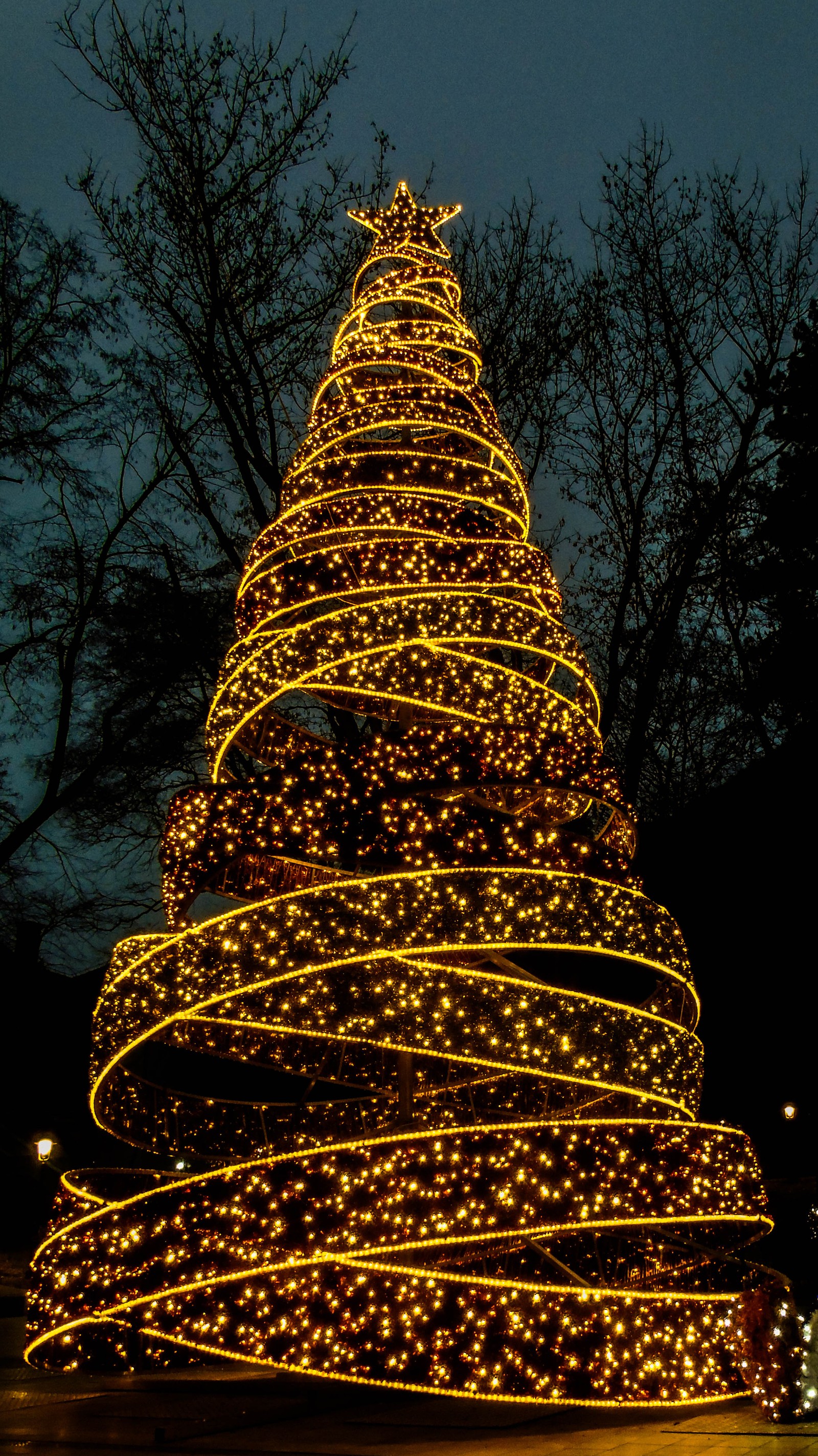 Uma bela árvore de natal decorada em um parque à noite (natal, feriado, luzes, estrela, árvore)