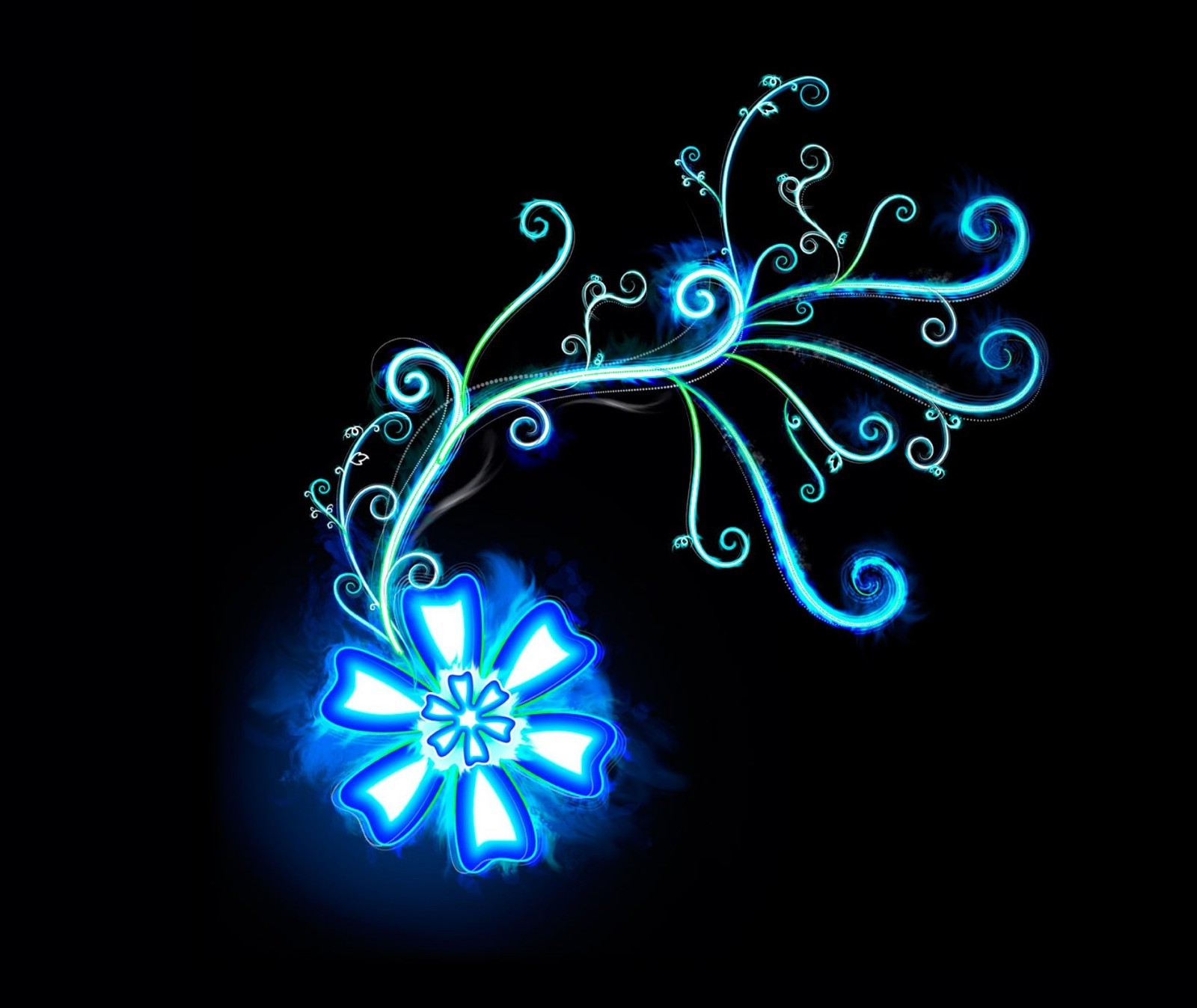 There is a blue flower with swirls on a black background (meem, rubab)