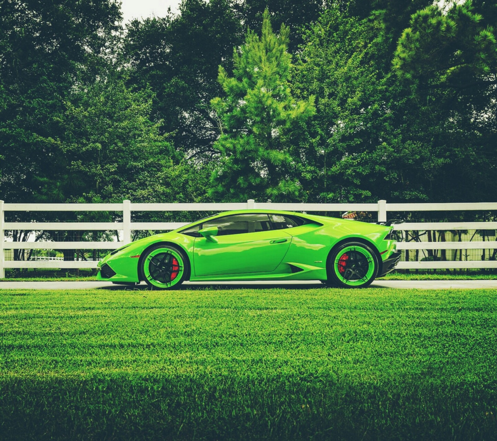 Grünes schafauto, das auf einem mit gras bedeckten feld parkt (auto, grün, huracan, lamborghini, superauto)