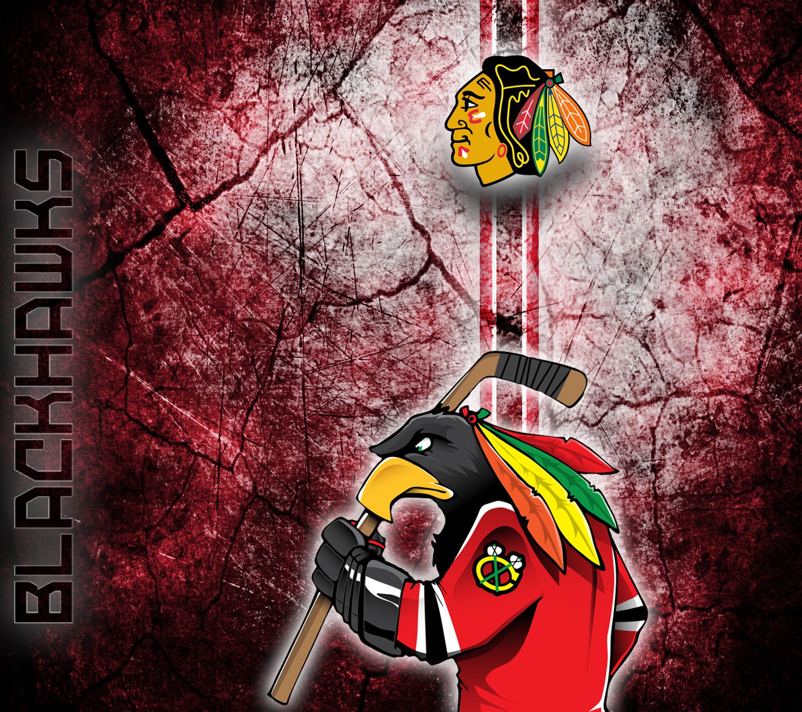 Descargar fondo de pantalla hockey, nhl