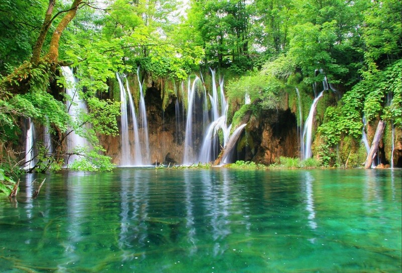 Водопад посреди леса с чистой водой (национальный парк плитвицкие озера, plitvice lakes national park, водопад, водоем, водные ресурсы)