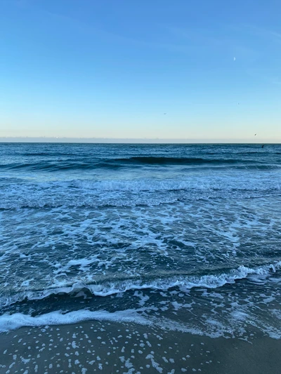 Paysage de plage canadien serein avec de douces vagues océaniques