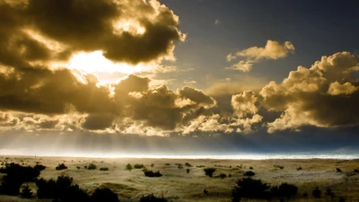 Golden Horizon: Morning Sunlight Breaking Through Clouds Over Savanna