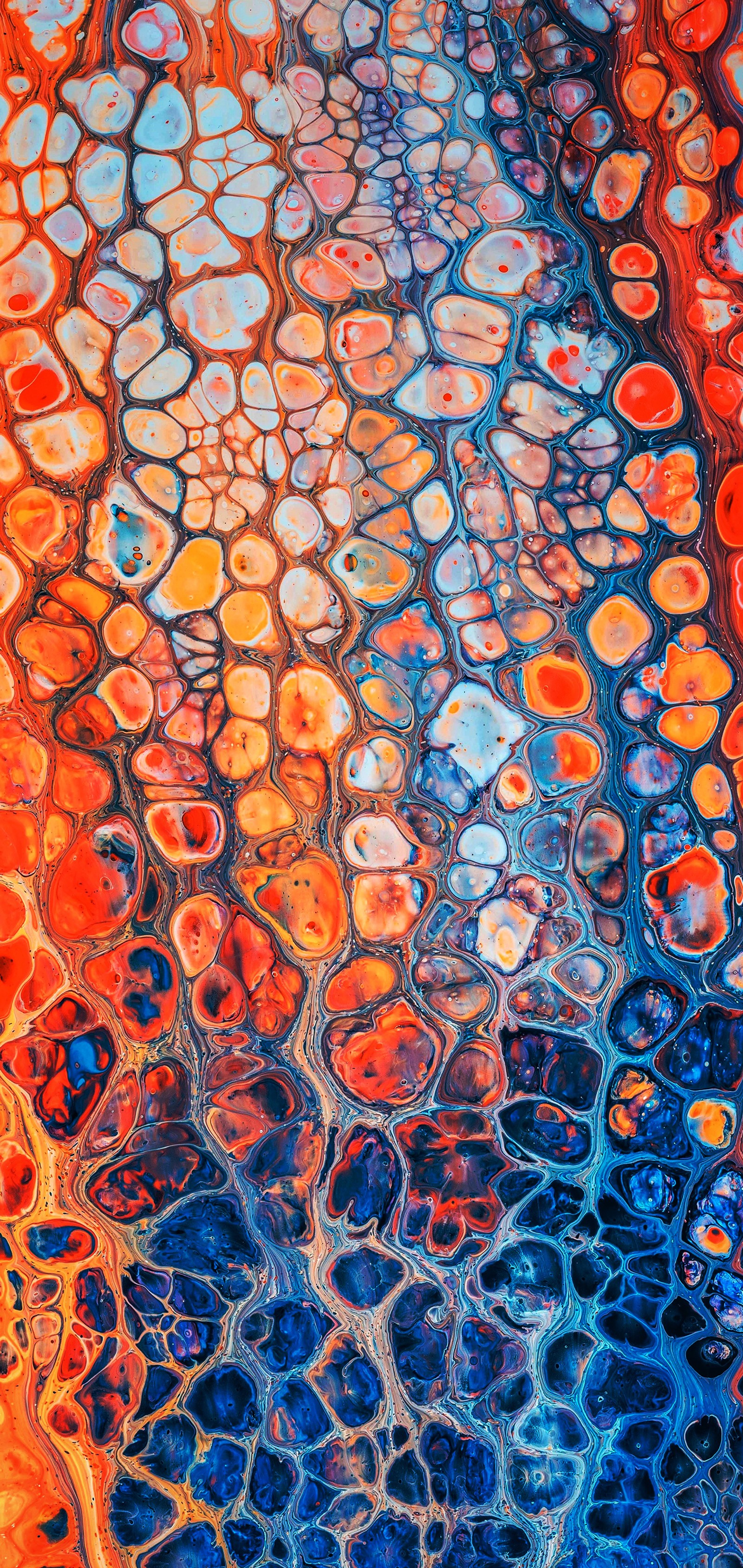 A close up of a painting of a colorful pattern of circles (visual arts, art, painting, art paint, graphic design)