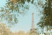 Torre Eiffel enmarcada por exuberante vegetación contra un cielo despejado