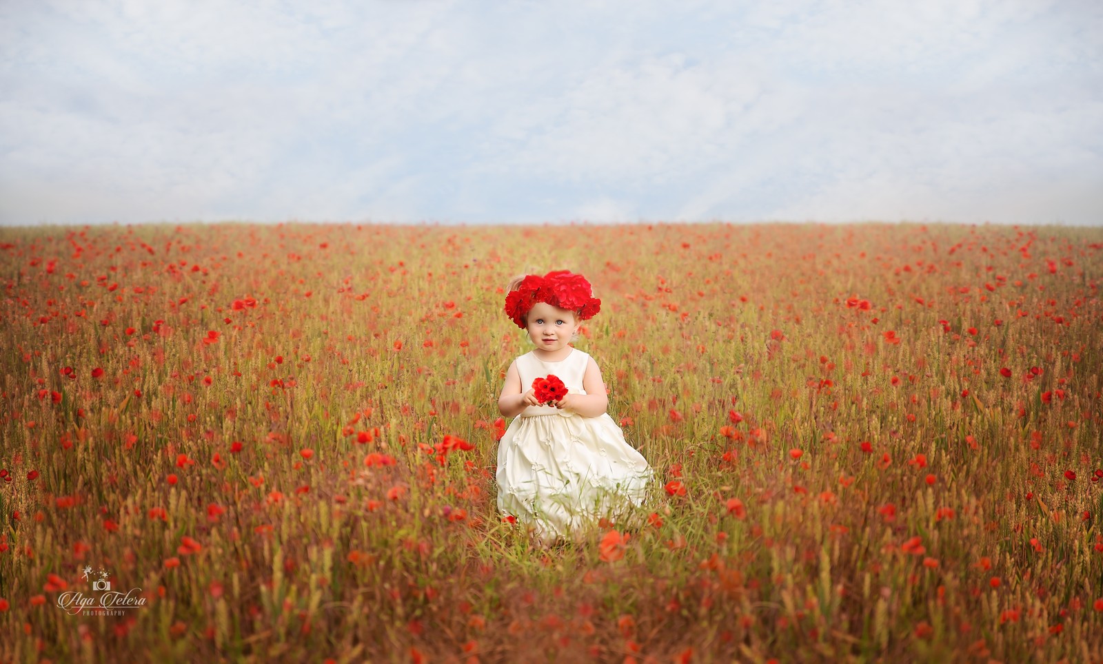 cute girl, red flowers, garden, white dress, cute eyes wallpaper