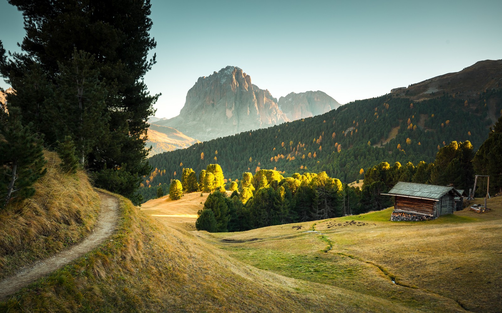 A view of a small cabin in the mountains with a trail (seceda mountain, italy, wooden house, pathway, green trees)