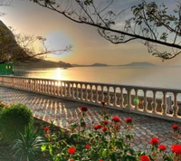 strand, schön, küste, blumen, landschaft