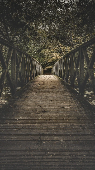 Puente de madera a través de un camino forestal