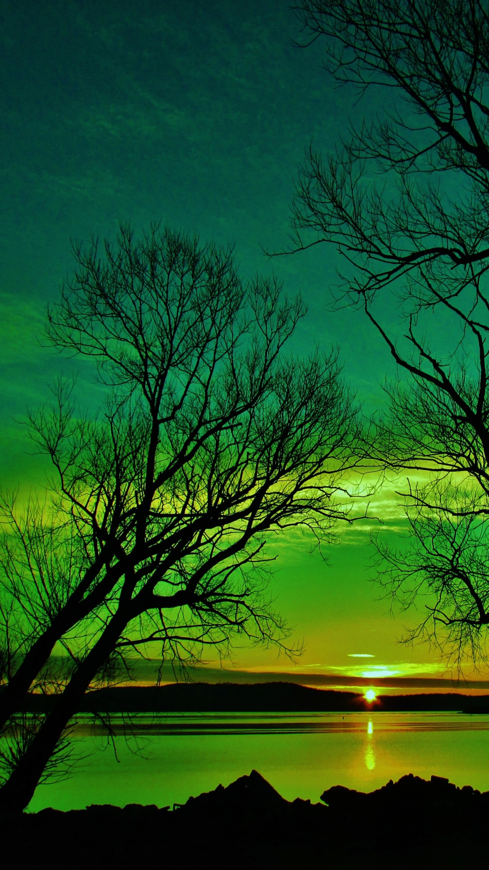 Los árboles están silueteados contra el atardecer en un lago (verde, atardecer)