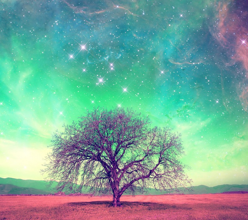 A tree in a field with a green sky and stars (abstract, art, galaxy, landscape, nature)