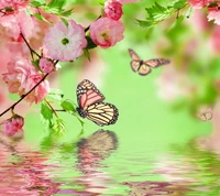 Spring Blossoms and Butterflies Amidst Pink Flowers