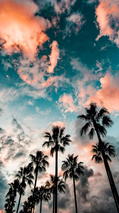 palm, trees, beach, colorful