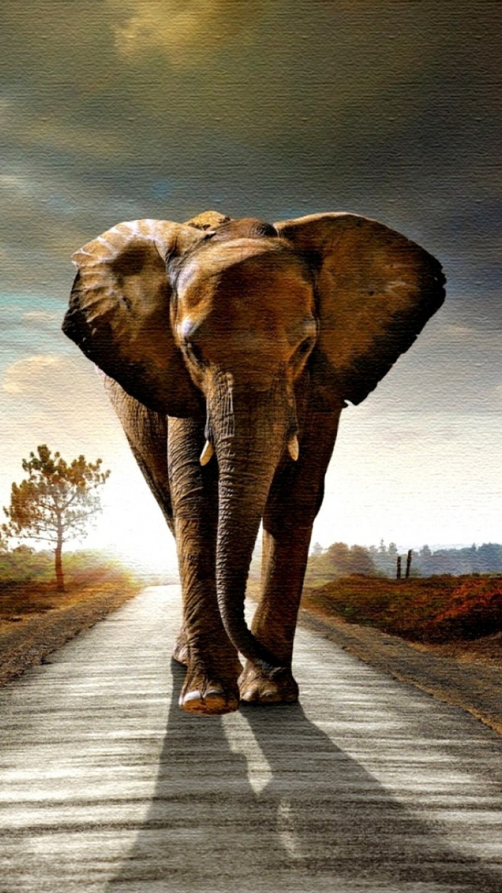 Pintura de un elefante caminando por un camino con un árbol de fondo (animal, elefante, fauna, bosque, selva)