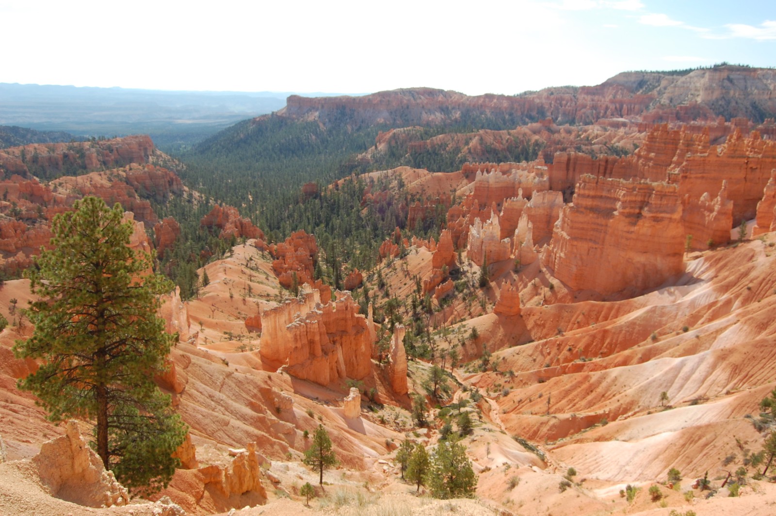 Araffe canyon in the bryce national park, utah (bryce canyon national park, national park, canyon, badlands, formation)