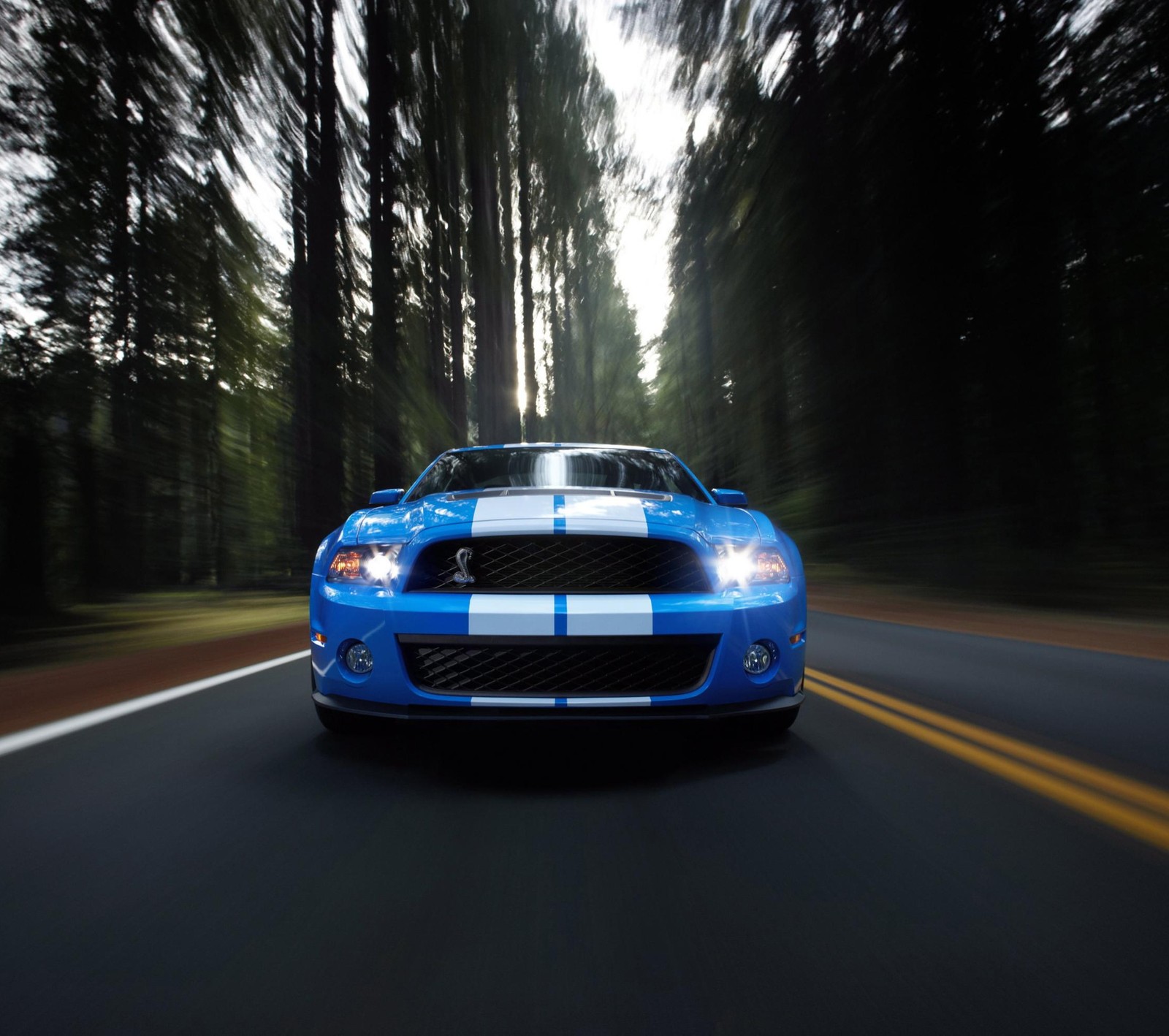 A blue mustang driving down a road with trees in the background (blue, car, muscle, mustang, road)