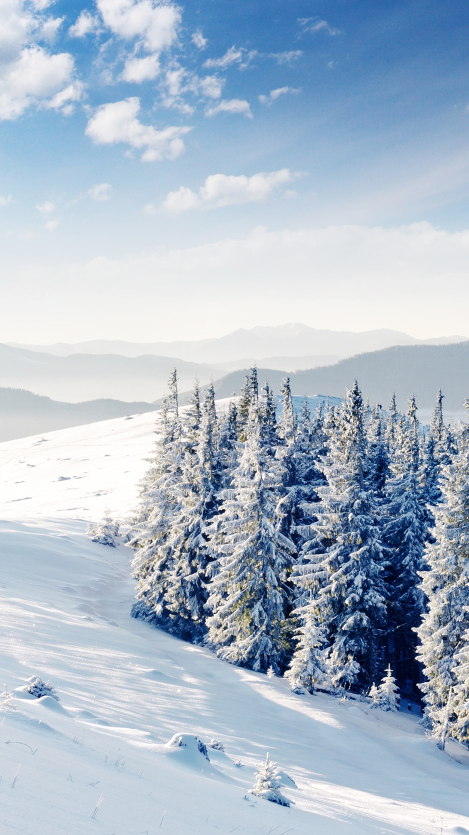 Esquiadores em uma pista de neve com árvores ao fundo (colinas, montanha, natureza, neve, árvores)