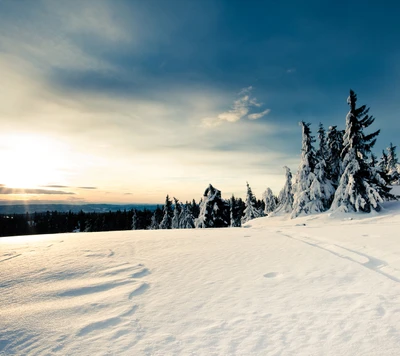 Maravilha de inverno: Montanhas cobertas de neve sob um céu azul