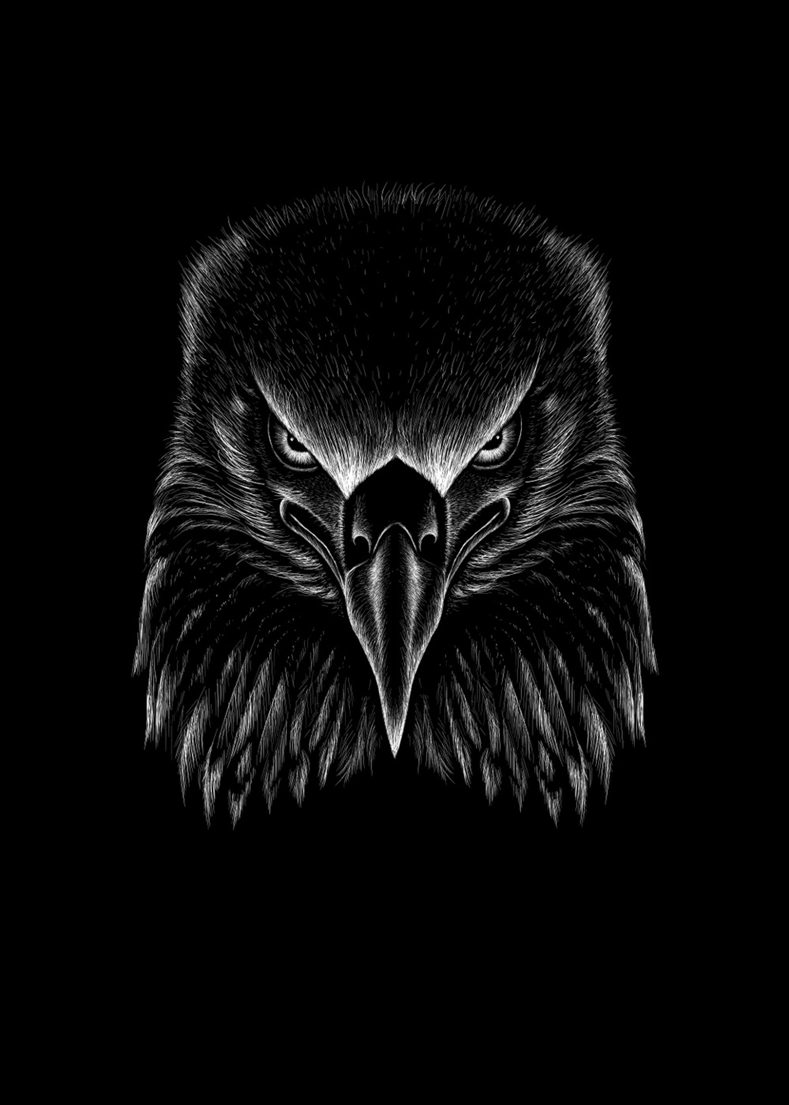 Dessin noir et blanc de la tête d'un aigle sur fond noir (android, art, oiseau, noir, sombre)