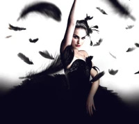 Elegance and Mystery: The Black Swan