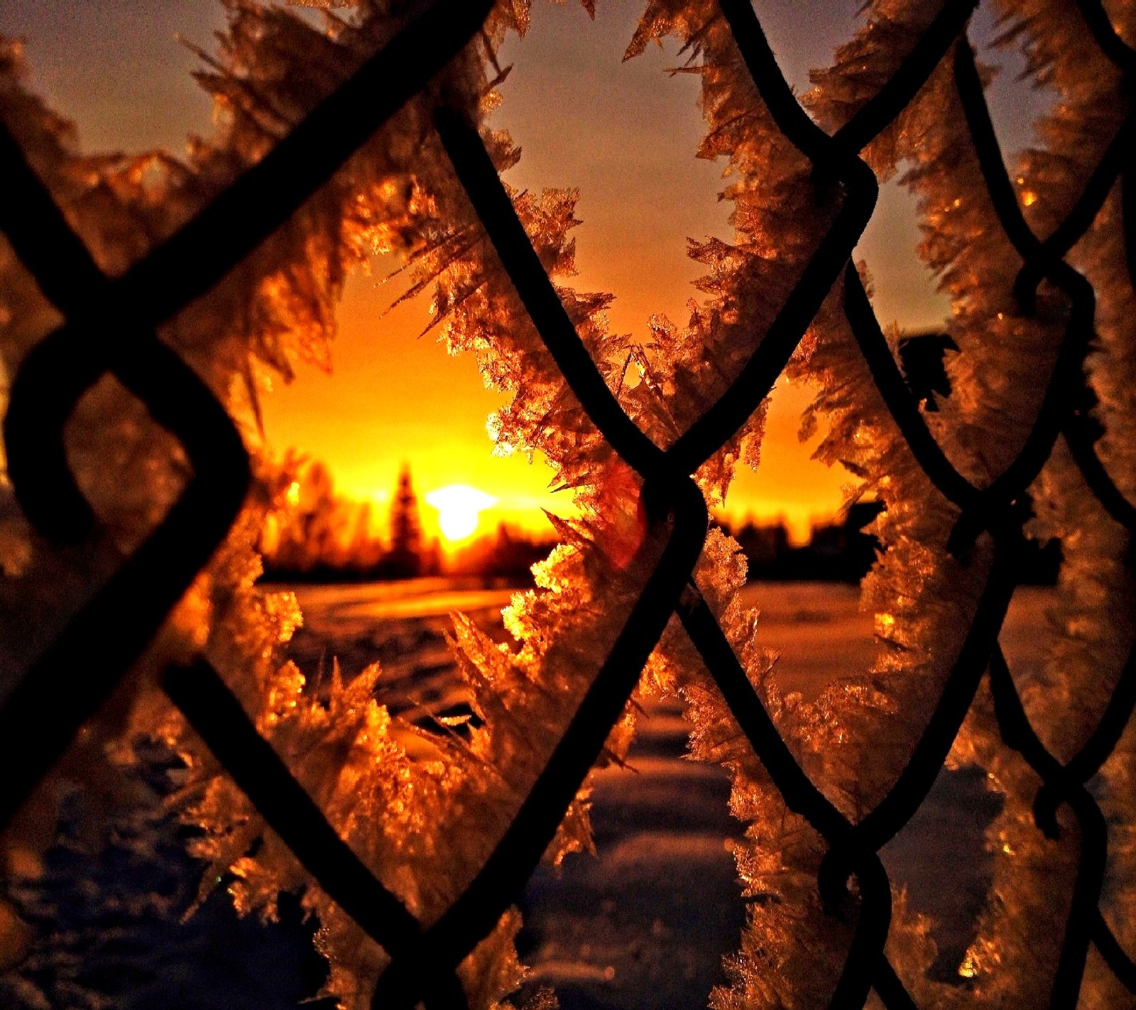 Arabische sicht auf einen sonnenuntergang durch einen maschendrahtzaun (winter)