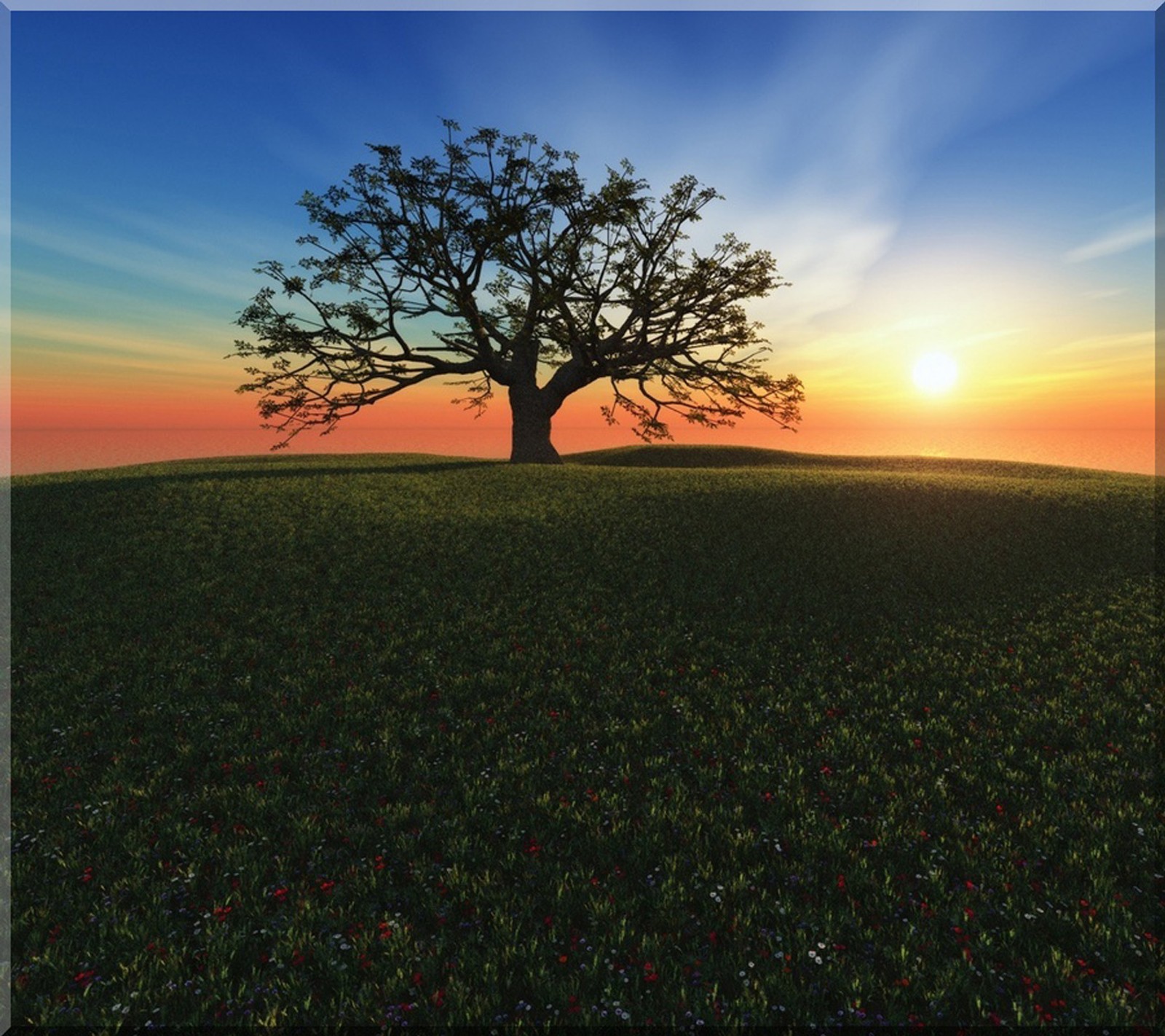 A lone tree in a field with a sunset in the background (3d, beautiful, cool, galaxy, lovely)