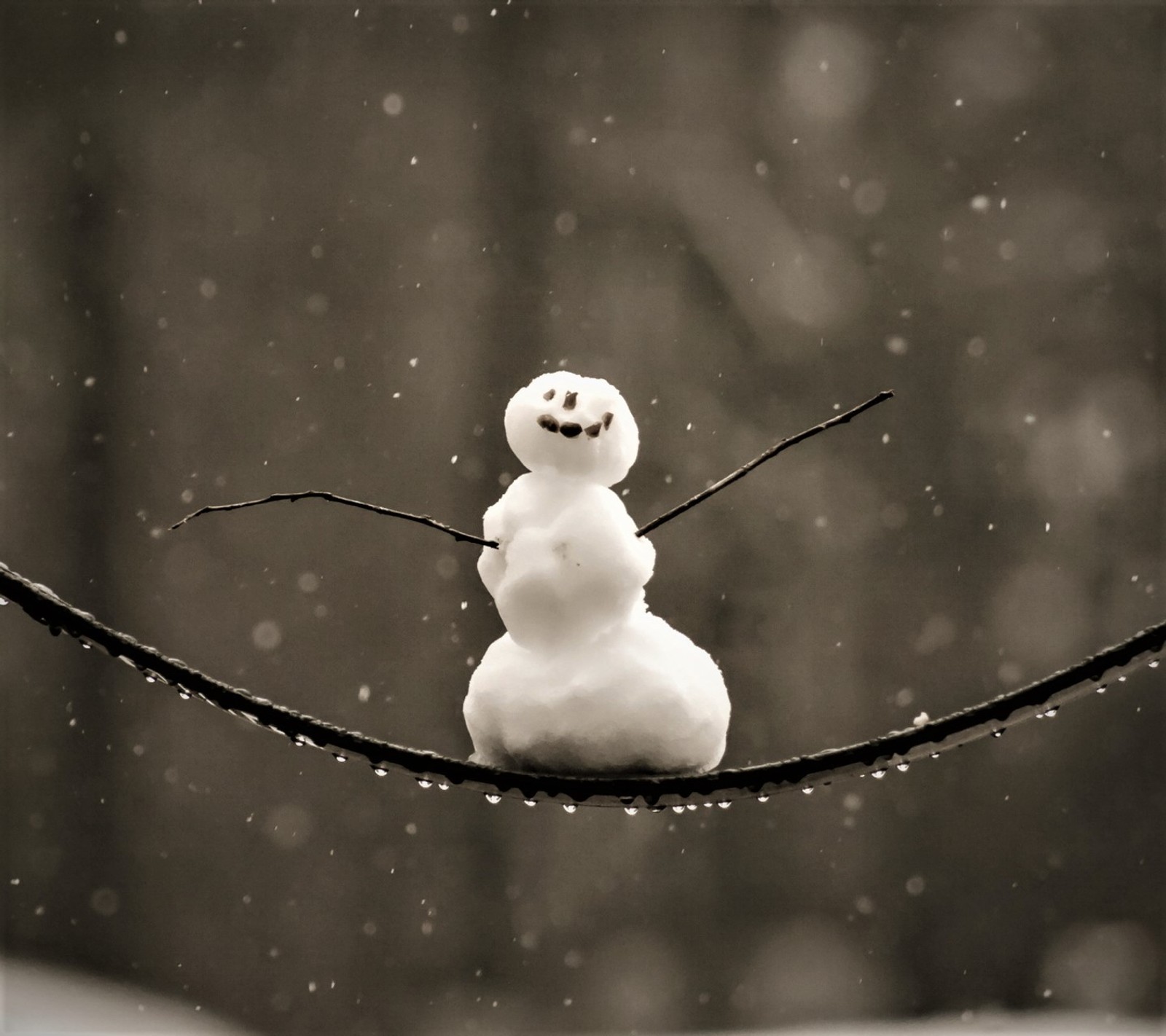 Ein schneemann, der auf einem ast im schnee sitzt (abej, beograd, happy snowman)